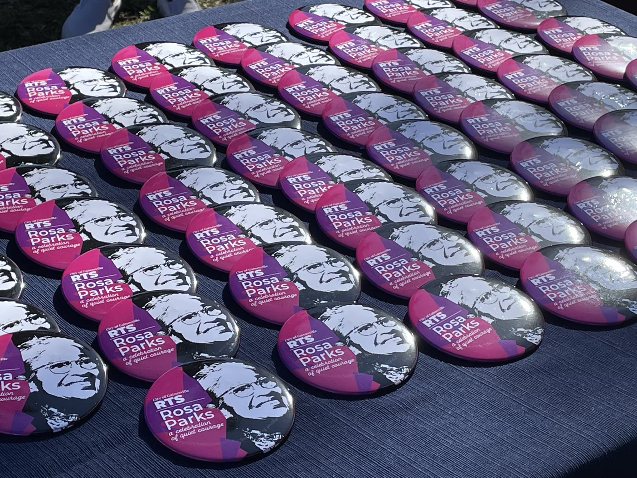 rosa parks day button display